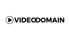 Rich results on Google’s SERP when searching for ‘videodomain'