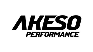 Rich results on Google’s SERP when searching for ‘Akeso performance'